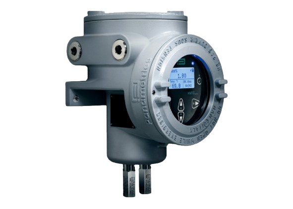 Panametrics Supplier in Dubai UAE